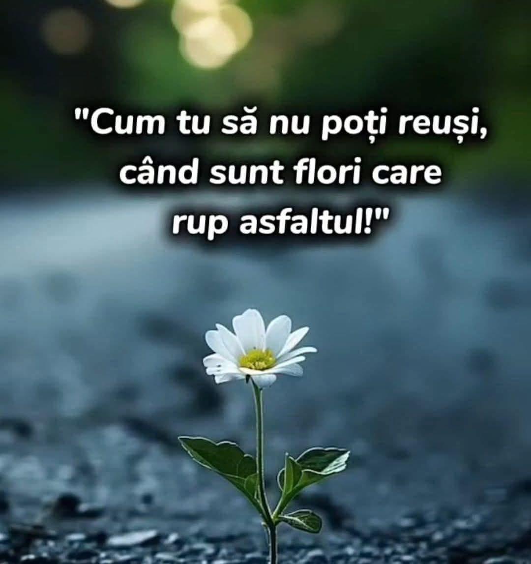 Adevărat... când vrei, poți!!!