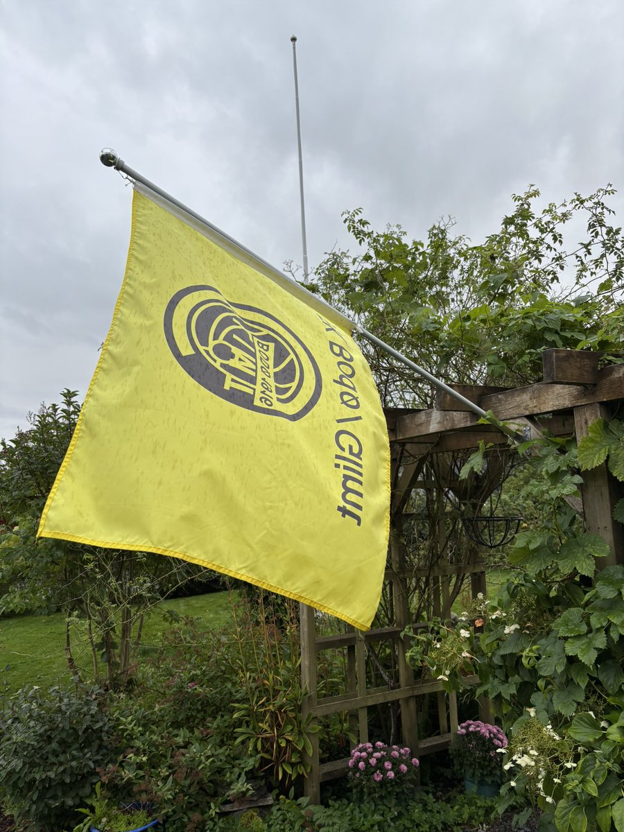 Tenk at det er kampdag i sælveste CL i dag😳 kamp nummer 100 i Europa førr min lille klubb 💛 frysninger og gåsehud hele dagen #førrevig