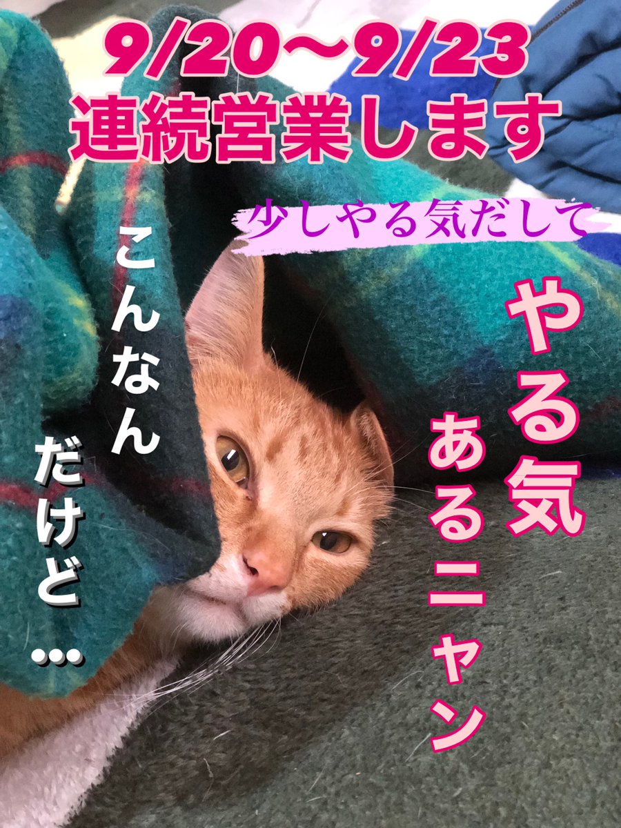 birdbell_diary's tweet photo. お知らせです♪
ご予約はホームページから
↓ ↓ ↓

https://t.co/E23kjdbqNx https://t.co/dffFA2W046
