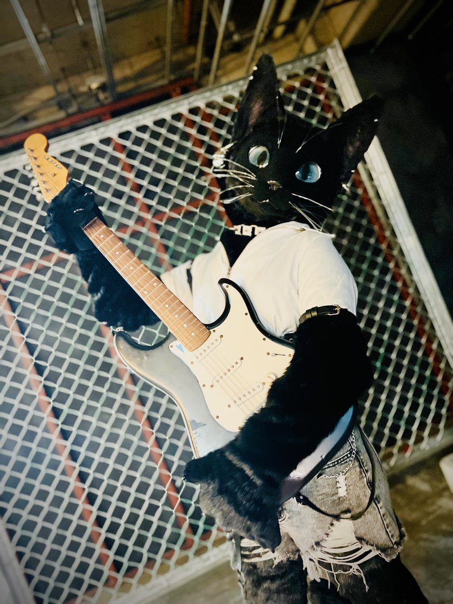 guitar!!🎸
 #FursuitEveryday 

📸 #Octane_c