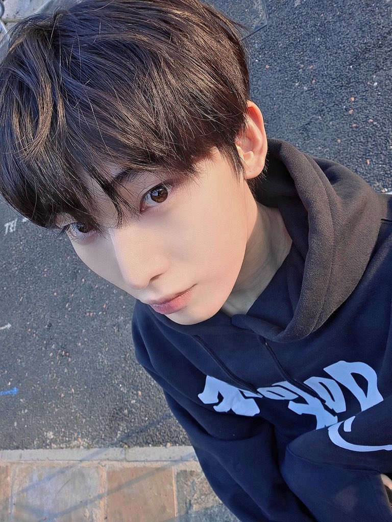 ☠︎︎ tweet media