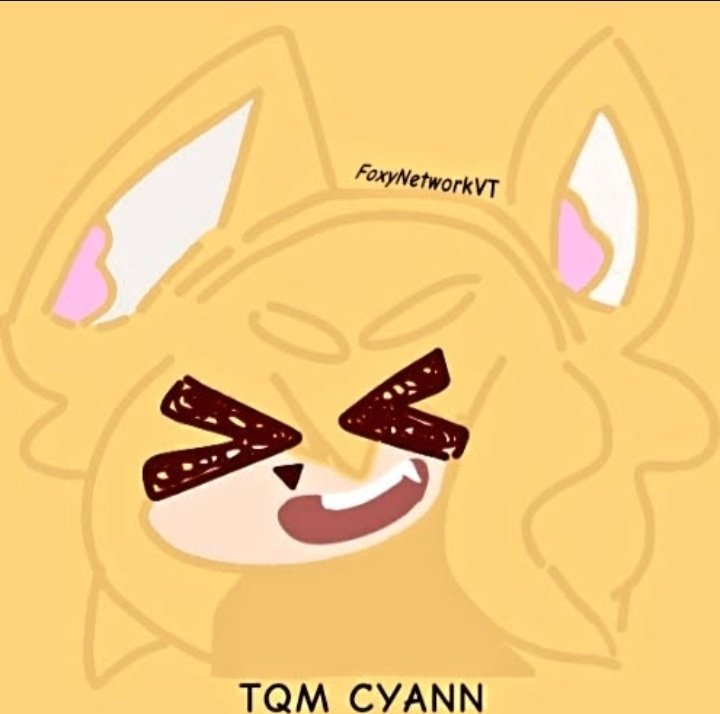 FoxyNetworkVT tweet media