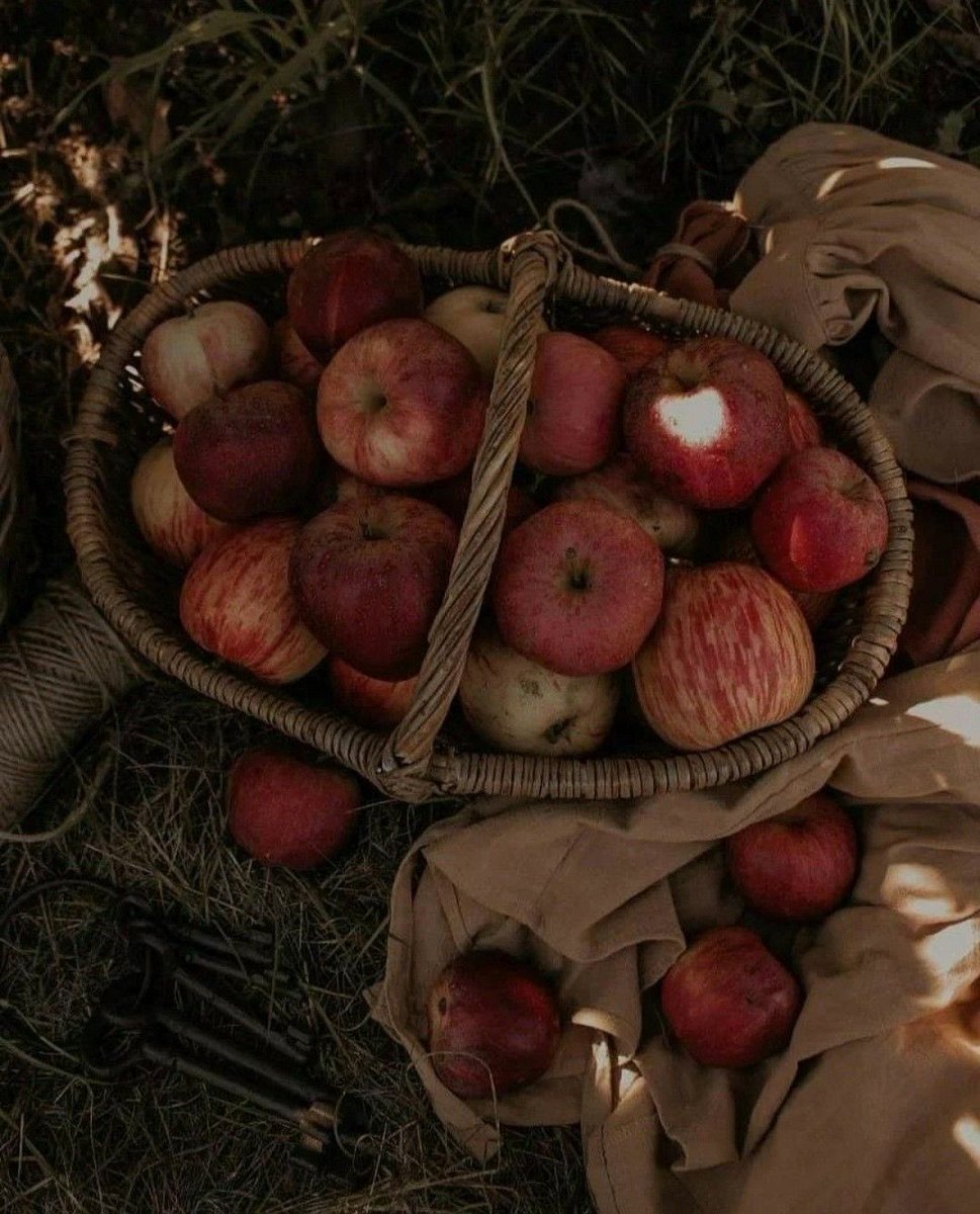 diplopodapunk's tweet image. i  Love  fall  !!!!