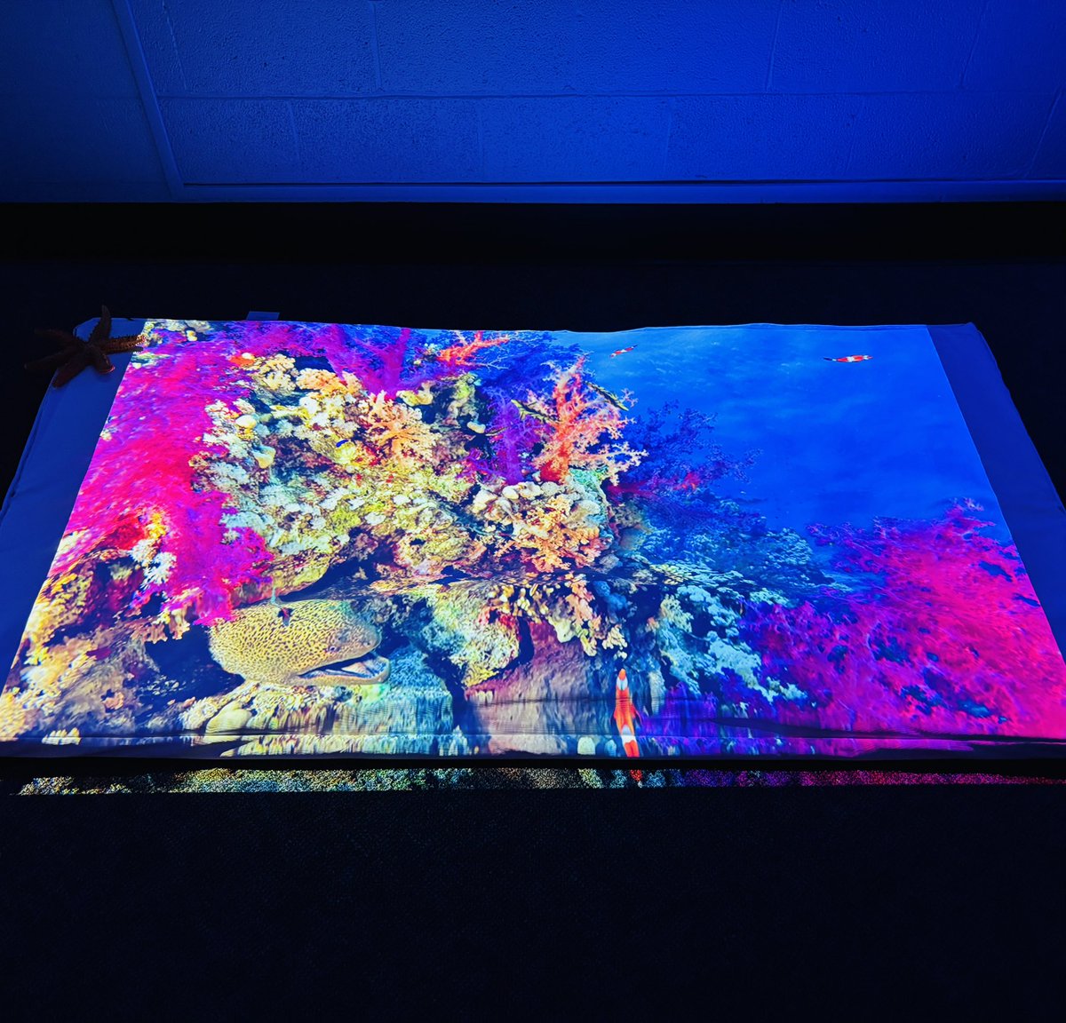 cmurpl's tweet image. We are so excited to have completed all the upgrades and renovations to our Multi-Sensory Room in Finch! New furniture, lighting, wall decoration and interactive elements! FRESHENING FINCH! 🔥👆 @cmuniversity @cmuehs @cmualumni
