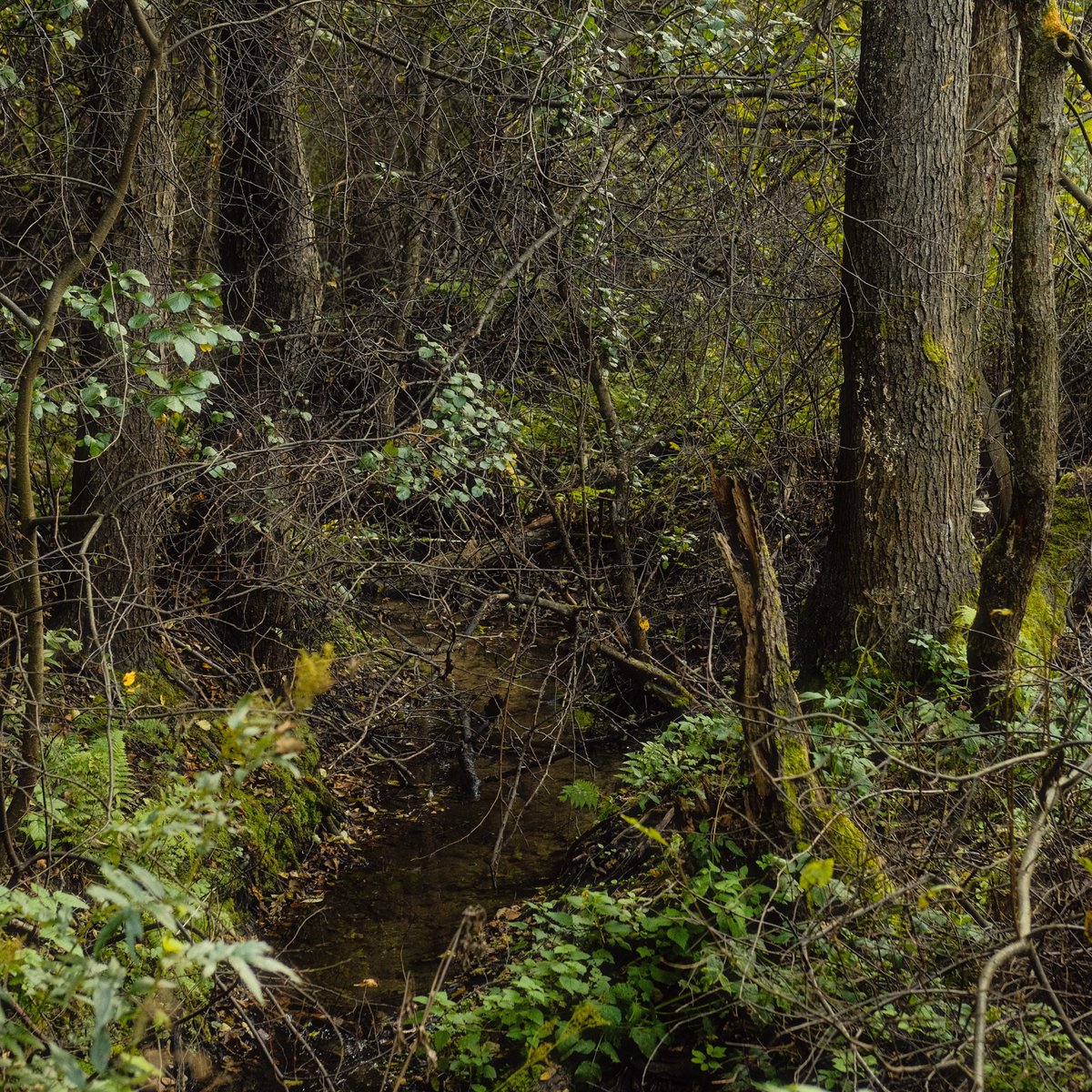 исток реки Модан находится южнее деревни Лом в 30 км к юго-востоку от города Богородск. река течёт на северо-восток, протекает деревни Лом и Инютино. в деревне Инютино на реке запруда, известная как Инютинское озеро. впадает в Пукстерь у деревни Зубаниха
