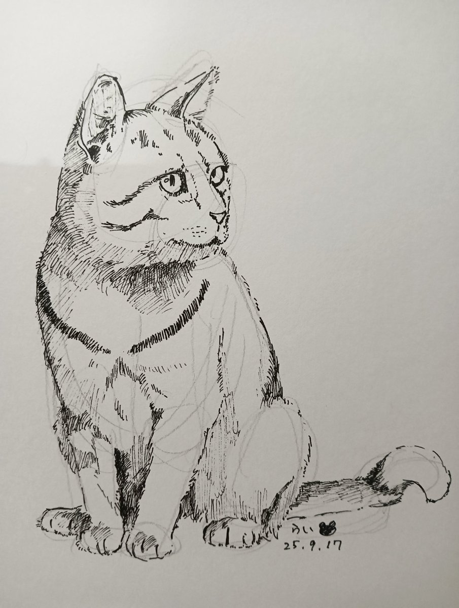 39.ねこ！
#ペン画
#ねこ