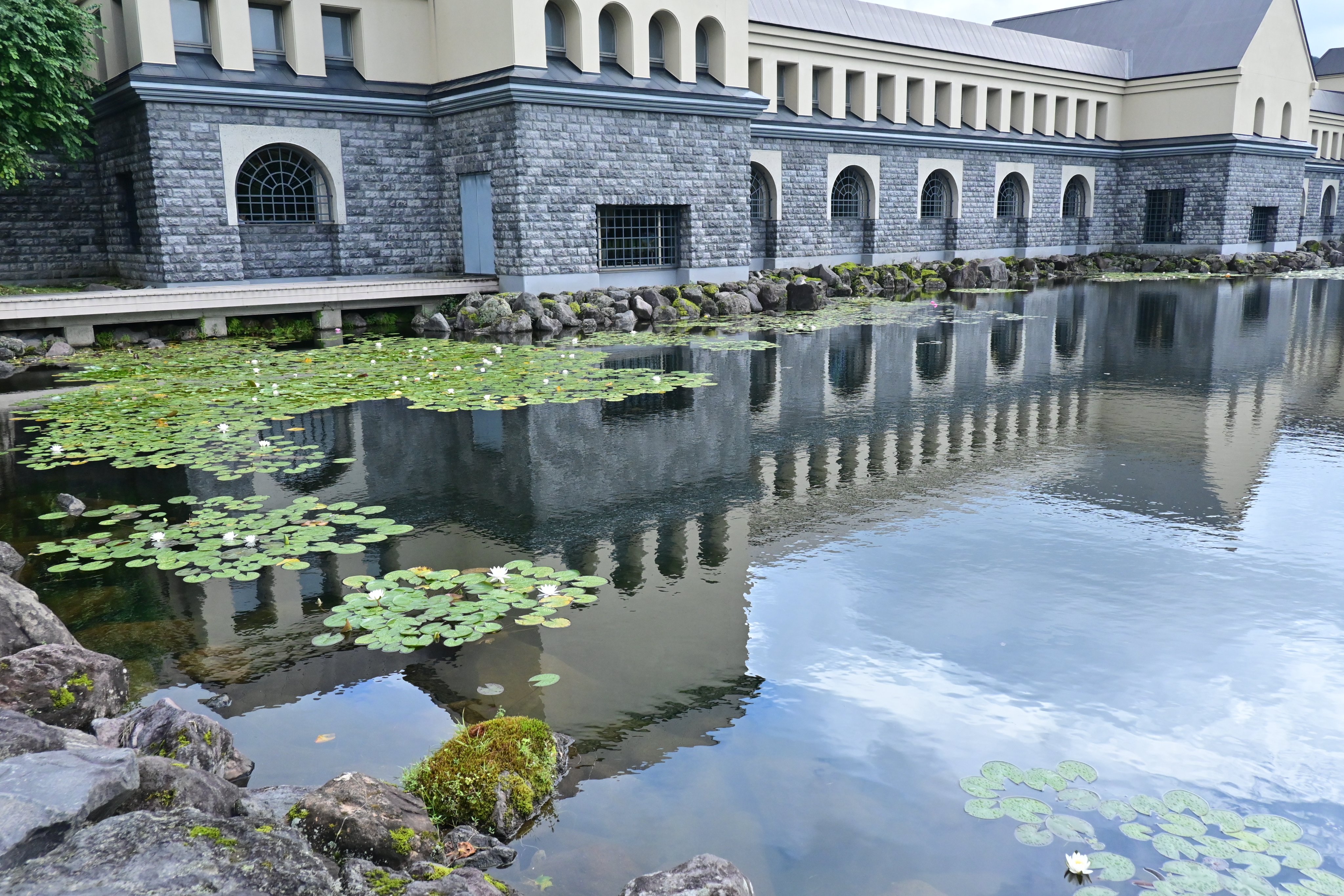 ひげべこ　諸橋近代美術館　2個セット 61pbriRTh1L._AC_SY200_QL15_.jpg