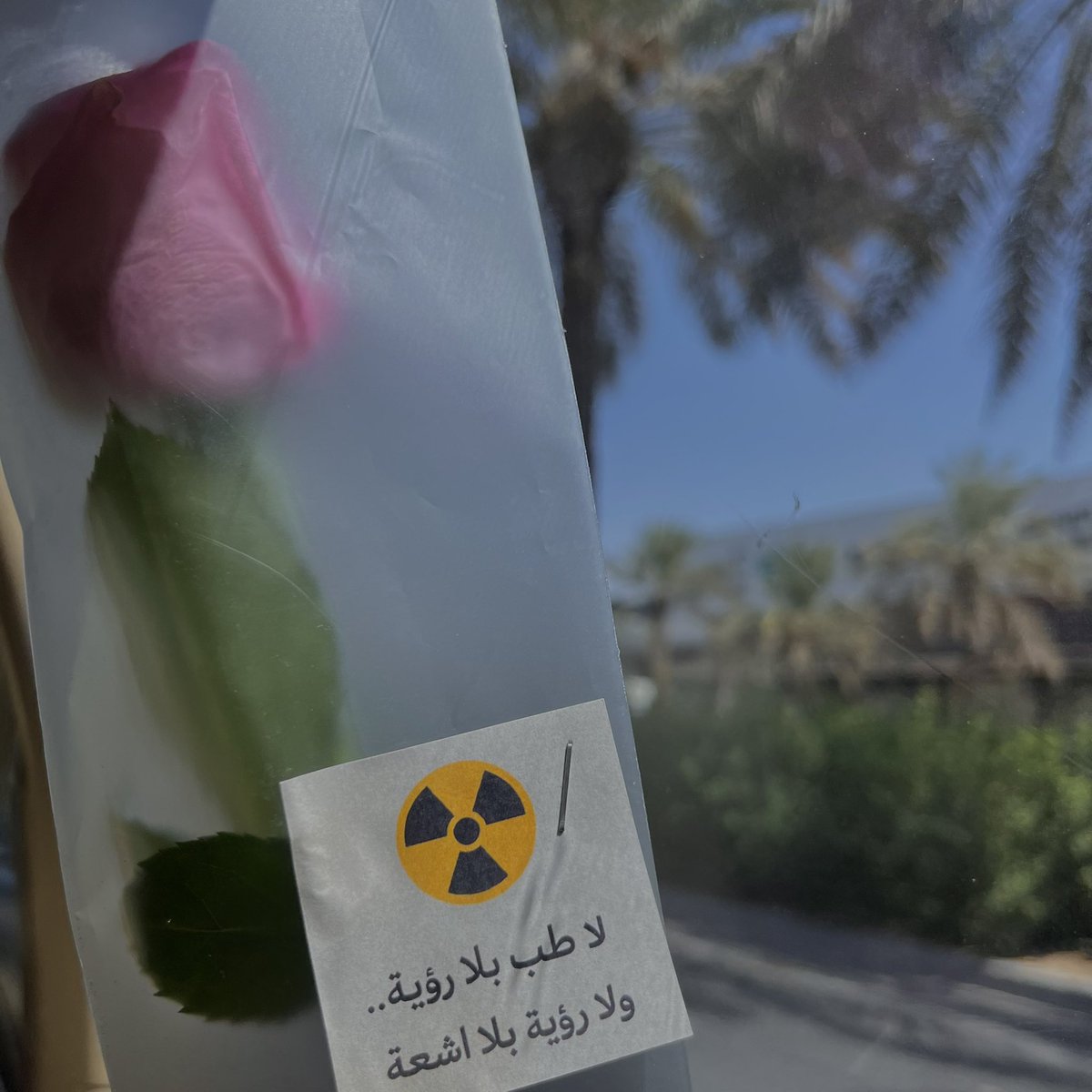 RAD. جميلة 🎓 tweet media