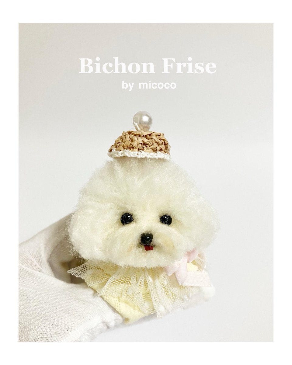 dog_micoco's tweet image. #うちの子オーダー受付中 #羊毛フェルト犬 
#羊毛フェルト作家みここ #今日のわんこ 
#ビションフリーゼ 

初めてのビションフリーゼちゃん😊！

手足はまだこれからです🙌