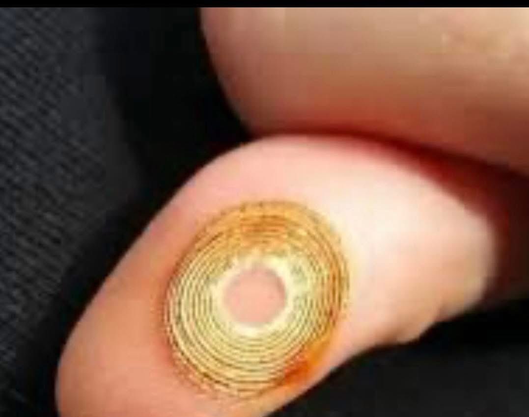 Thrilla the Gorilla tweet media