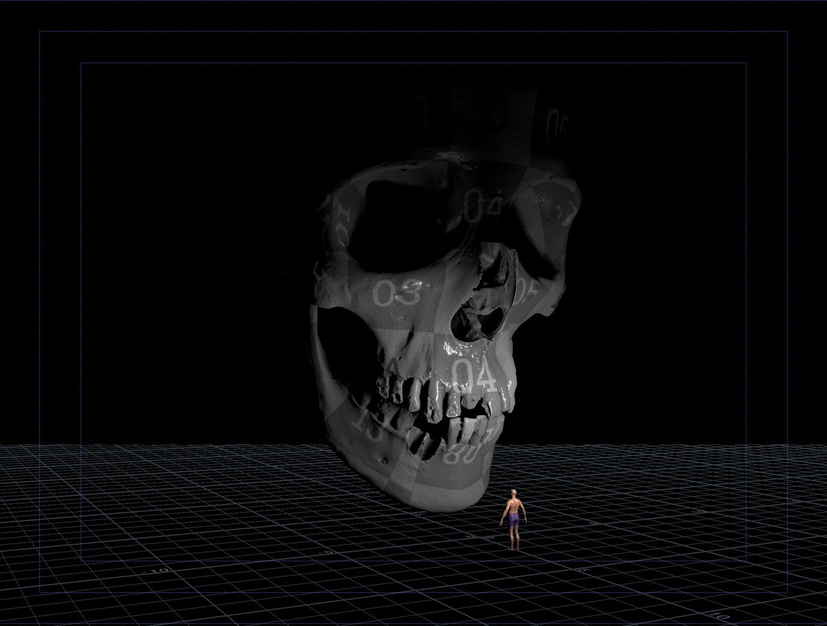 KevRyanCG's tweet photo. Brought in a skull into Houdini and it looked ominous at 100x the scale, so I added in a lil guy and now it's a work of ART! https://t.co/Hu8LoS48tB