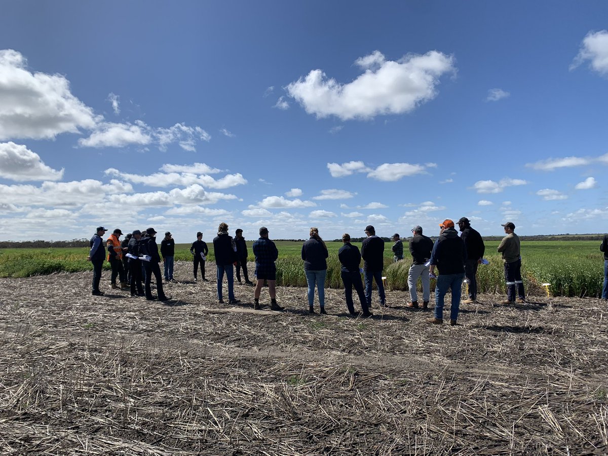 Great to have our young and upcoming research agronomists Gemma, Shwatank and Leah present at the Fitzgerald Biosphere Group Spring Field day. We presented at the GGA legume vs cereal trial and the <a href="/GRDCWest/">GRDC West</a> legume nutrition trial. Thanks for hosting us!