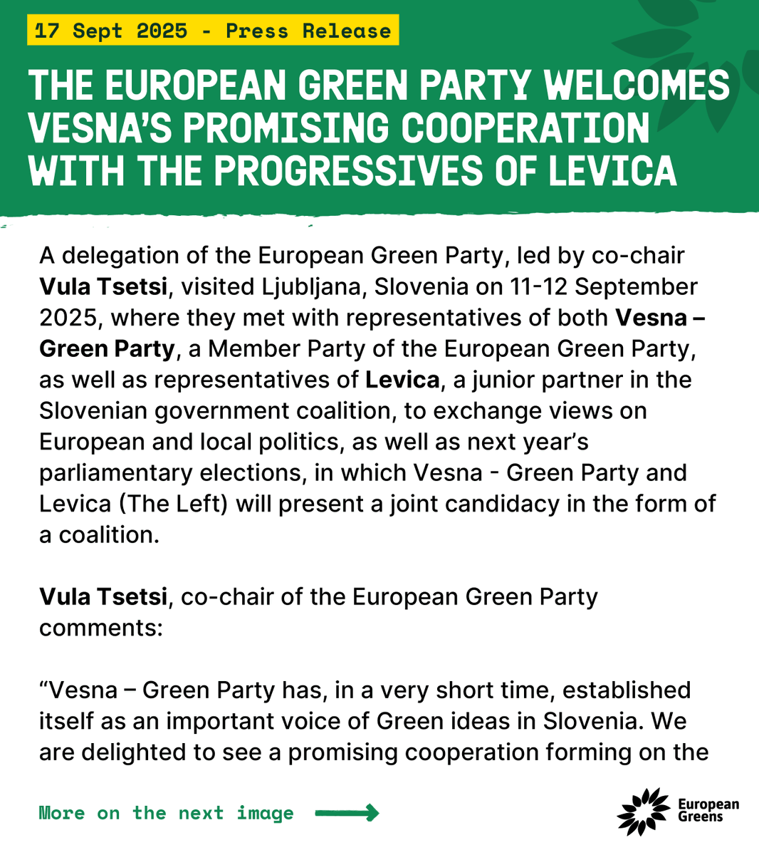 European Greens tweet media