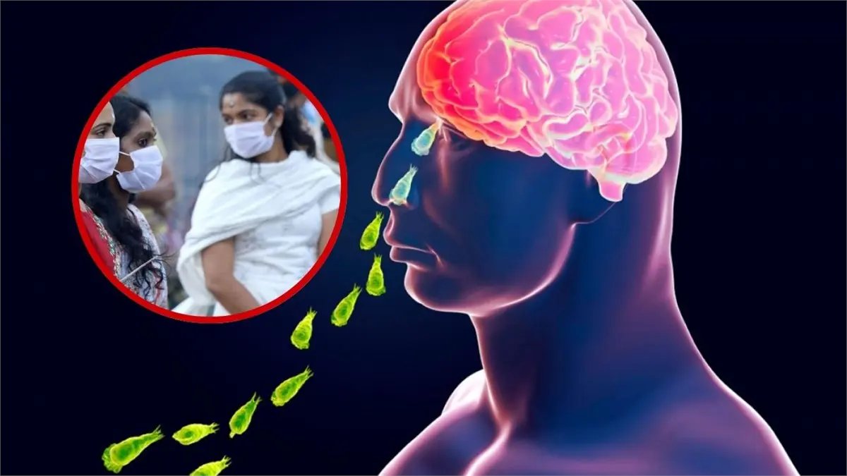 India declara alerta sanitaria tras 19 muertes por la ameba “comecerebros” #NoticiasSIN #AmebaComercerebros 

Más detalles en nuestro periódico NoticiasSIN.com

noticiassin.com/alerta-sanitar…