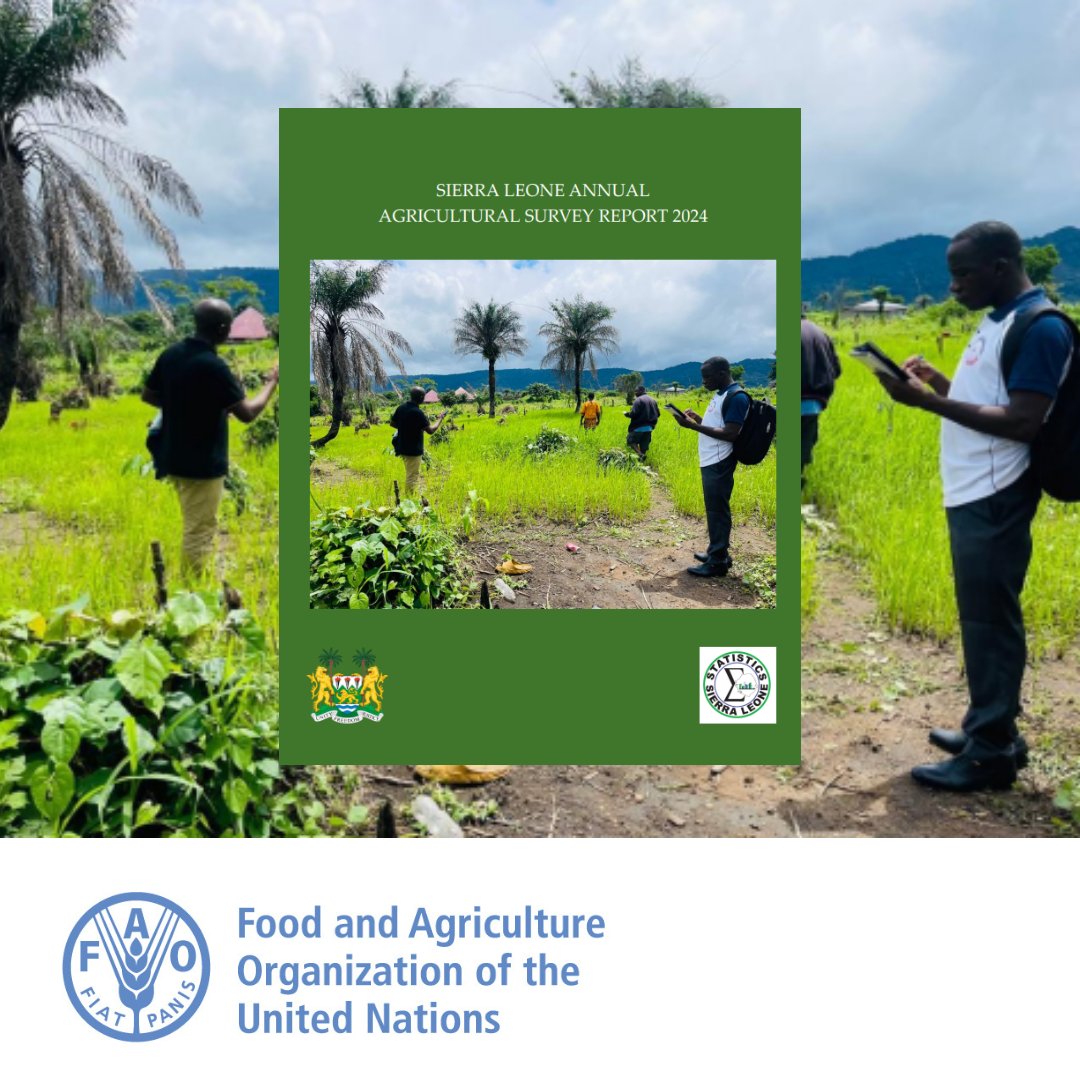 📢 JUST RELEASED: The 2024 Sierra Leone Annual Agricultural Survey Report is out! 🌾 Developed by <a href="/stats_sl/">StatsSL</a> &amp; MAFS with support from @FAOStatistics &amp; <a href="/50x2030/">The 50x2030 Initiative</a>, it shares key insights on crops, livestock, labour, environment &amp; more. Download here: statistics.sl/images/Statist…