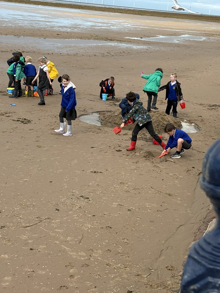 Newton Primary School, Chester tweet media