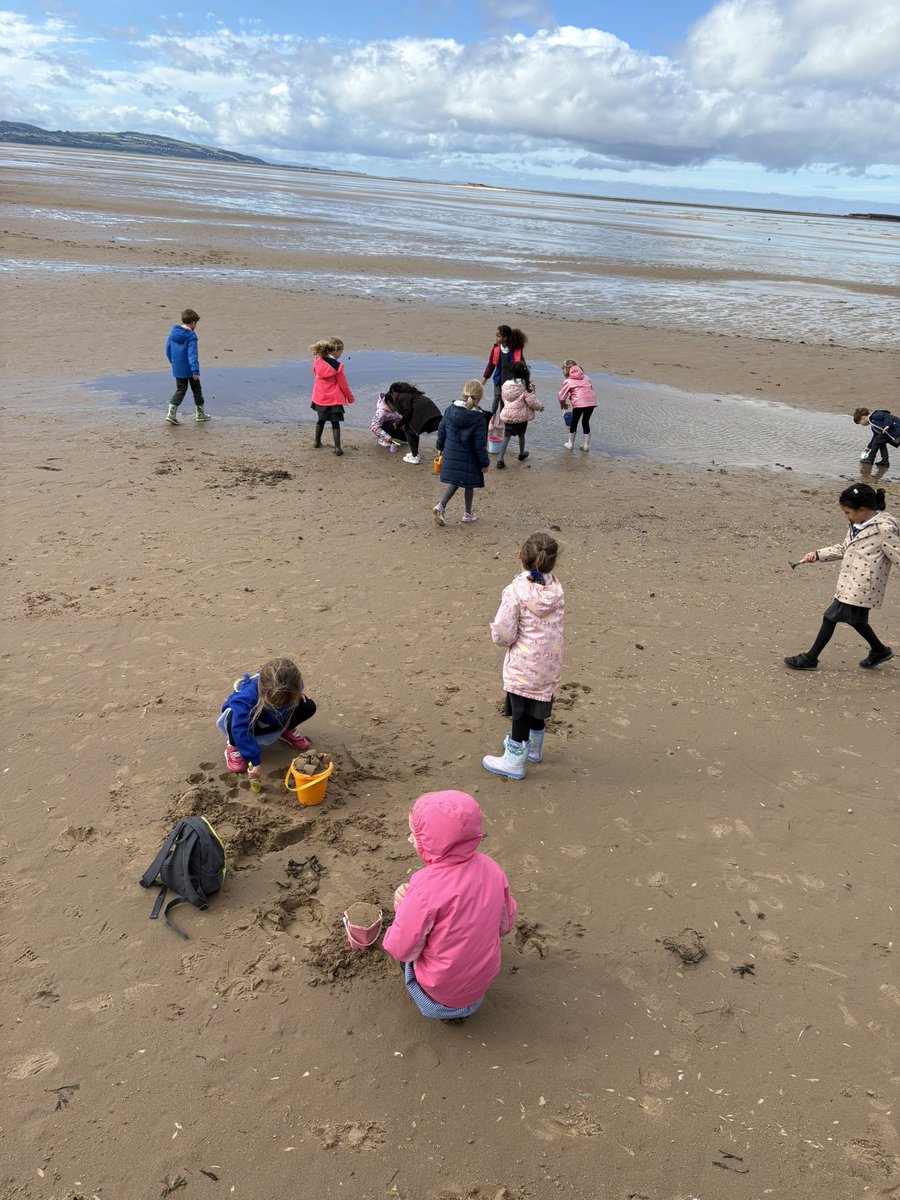 Newton Primary School, Chester tweet media