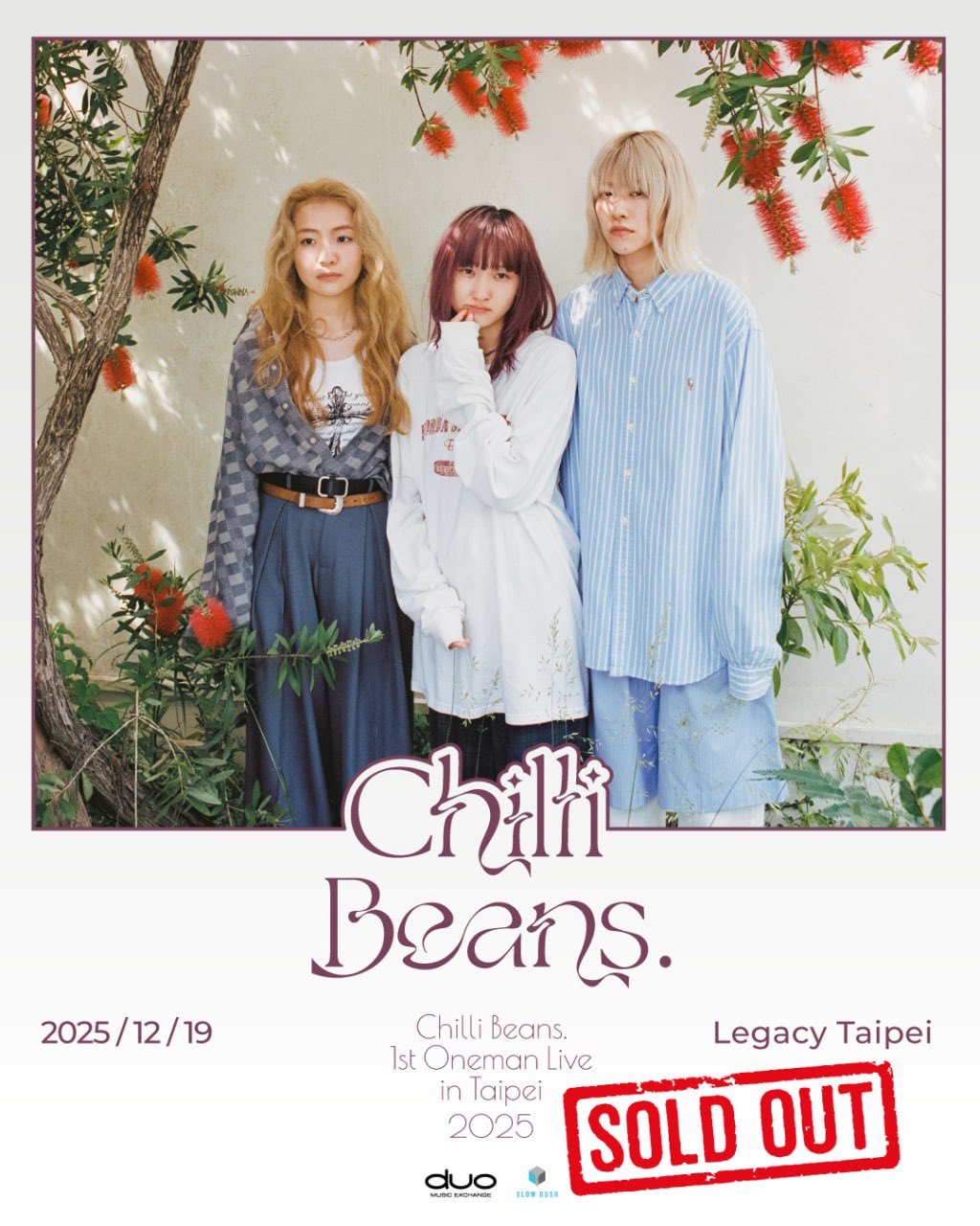 Chilli Beans. チリビーンズ タオル chilli band Amazon｜chilli beans チリビーンズ シェキララ タオル｜ハンド