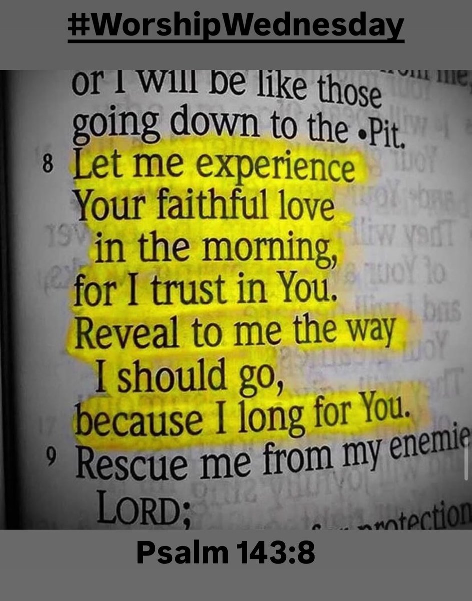 Johnny Shelton tweet media