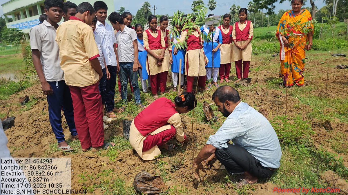 bdo_remuna's tweet photo. EK PED MAA KE NAAM UNDER REMUNA BLOCK BALASORE https://t.co/bHE0csJu15