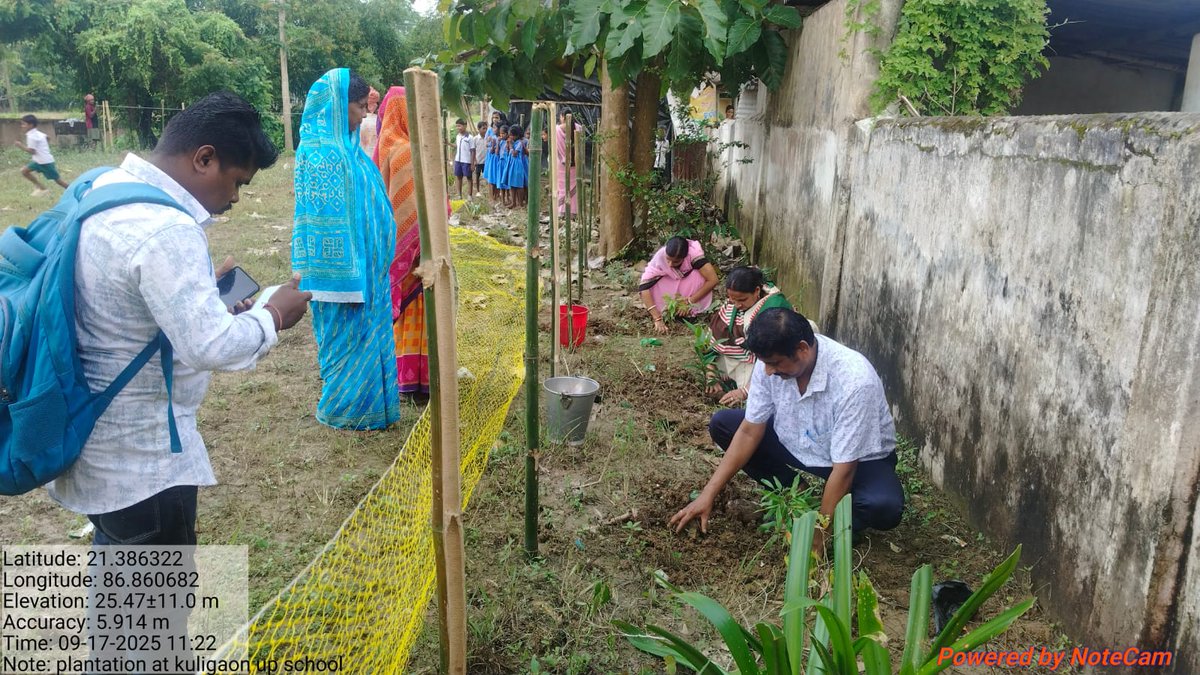 EK PED MAA KE NAAM UNDER REMUNA BLOCK BALASORE