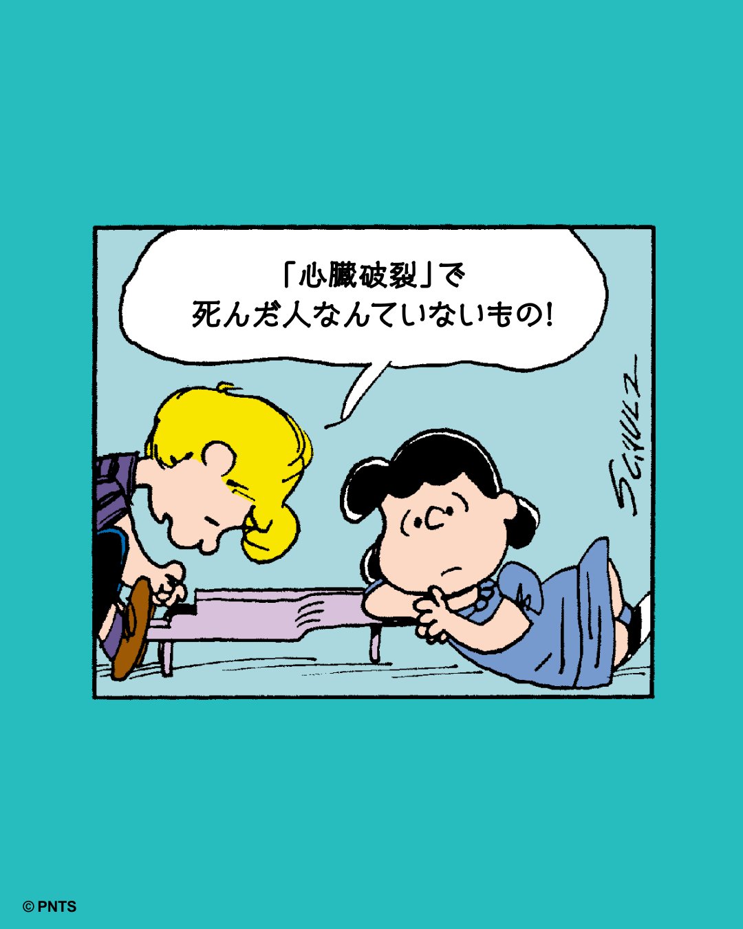 SNOOPY様ご説明画像追加 Snoopy - YouTube