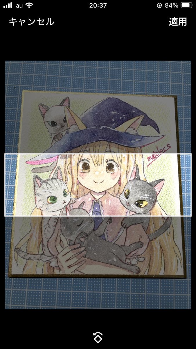ヘッダーにこの猫達を収めなきゃ🐈 