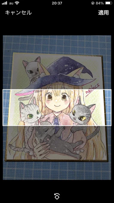 ヘッダーにこの猫達を収めなきゃ🐈 