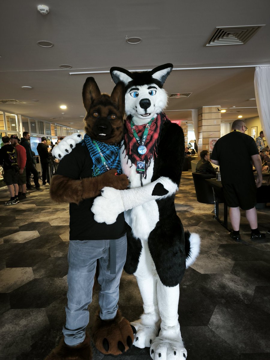 Cody Shepherd 🐾💗 tweet media