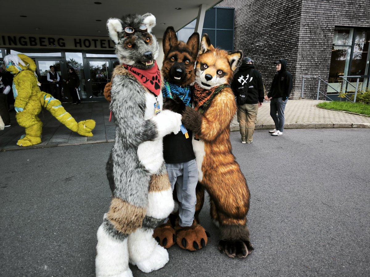 Cody Shepherd 🐾💗 tweet media