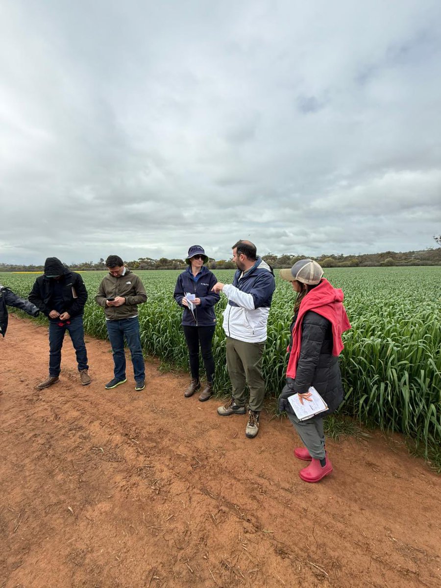 Fantastic to host a South American group of agronomists and researchers today. We visited some trials, our facilities and local farmers. Many shared challenges in the agronomy space. Fantastic questions! A pleasure to host!