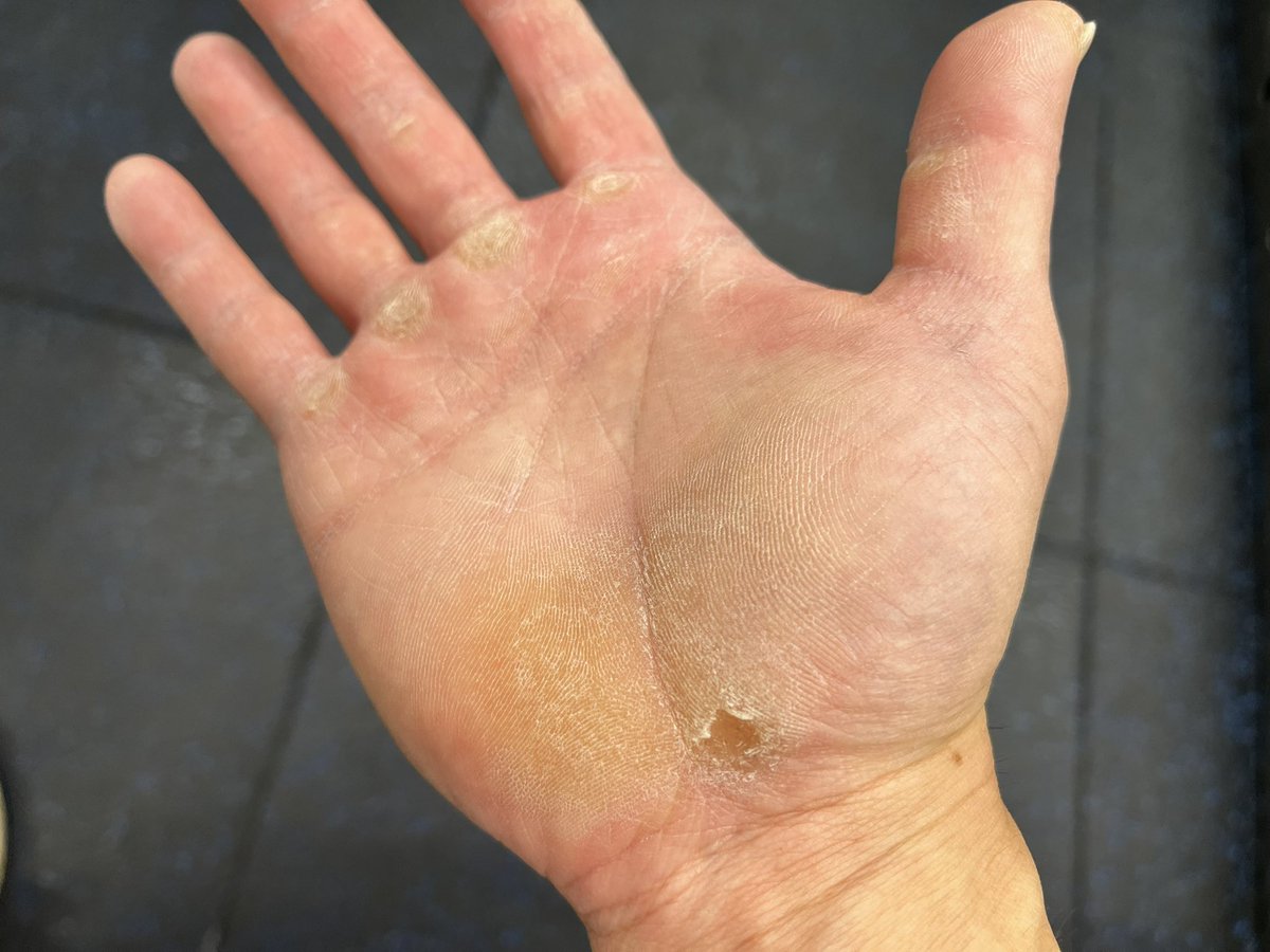 Post by いとうけんいち on X: 四足走行歴22年