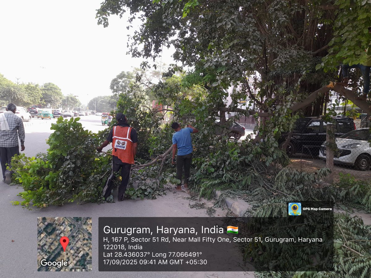 OfficialGMDA's tweet photo. 🚮🌱 Clearing horticulture waste along with pruning & weeding has been done along Sector 46/51 master road to enhance the beauty of green belts and ensure safe pedestrian pathways.
#GMDA #CleanCity #UrbanGreening #MaintenanceWorks
@DC_Gurugram @MunCorpGurugram https://t.co/eecywYIiPp