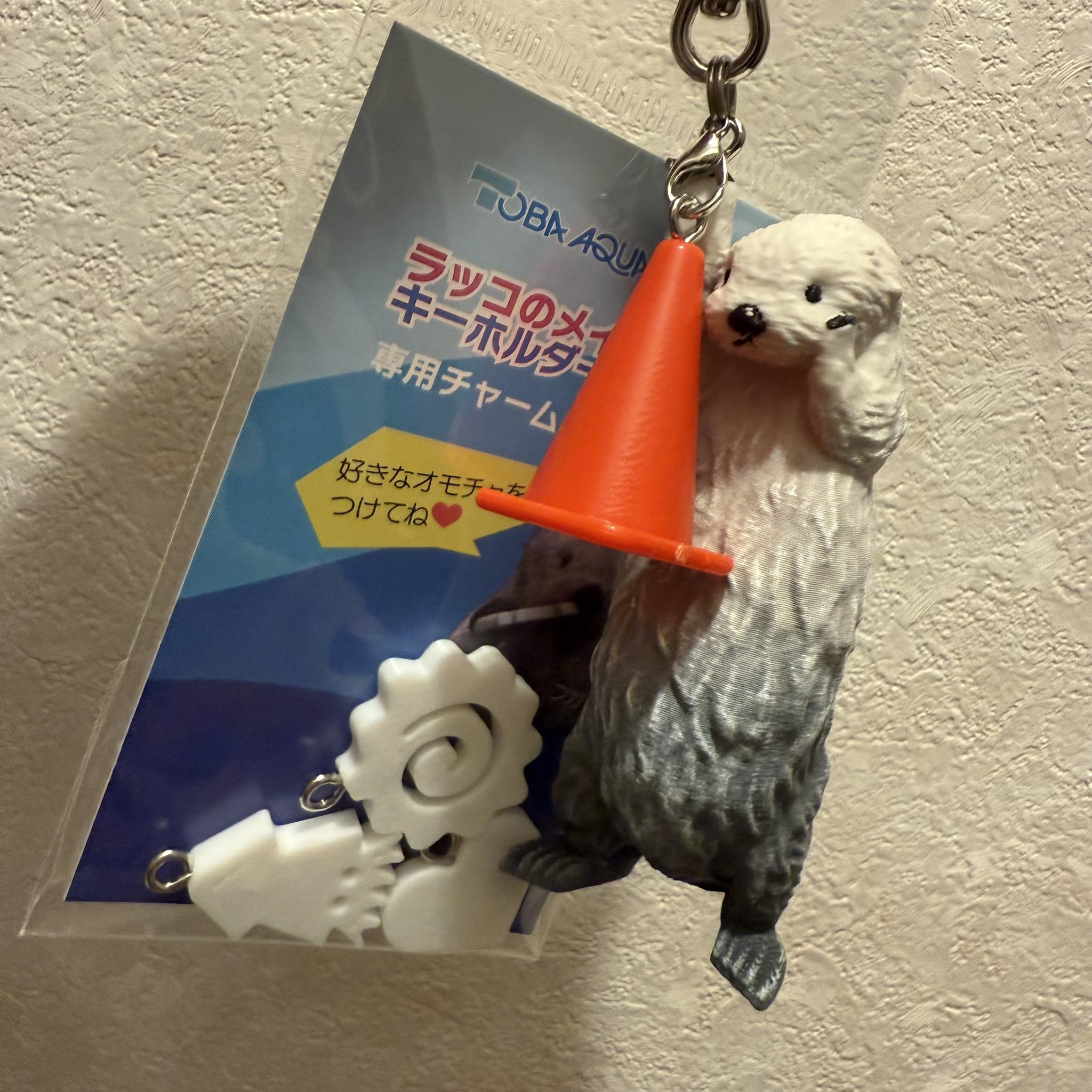 ラッコのメイちゃんキラちゃん　カプくじ　5点セット 鳥羽水族館』のアイドルが帰ってきた！ 「ラッコのメイちゃん」の誕生