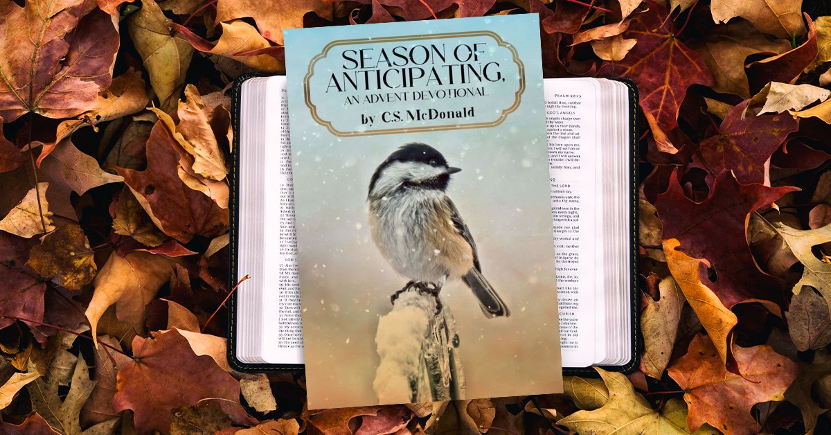 CSMcDonald7's tweet photo. I bumped into a FB friend yesterday. She told me she's ordered 8 copies of SEASON OF ANTICIPATING, An Advent Devotional for her Bible study group. I am thrilled-this is about the 3rd group I've heard who will be reading this for Advent! 🥰
Here's the link: https://t.co/s4OTVKzg1S https://t.co/6w21izDhSb