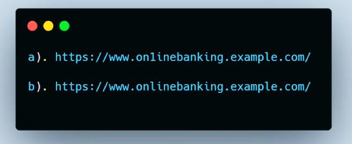 Can you spot the legitimate url?