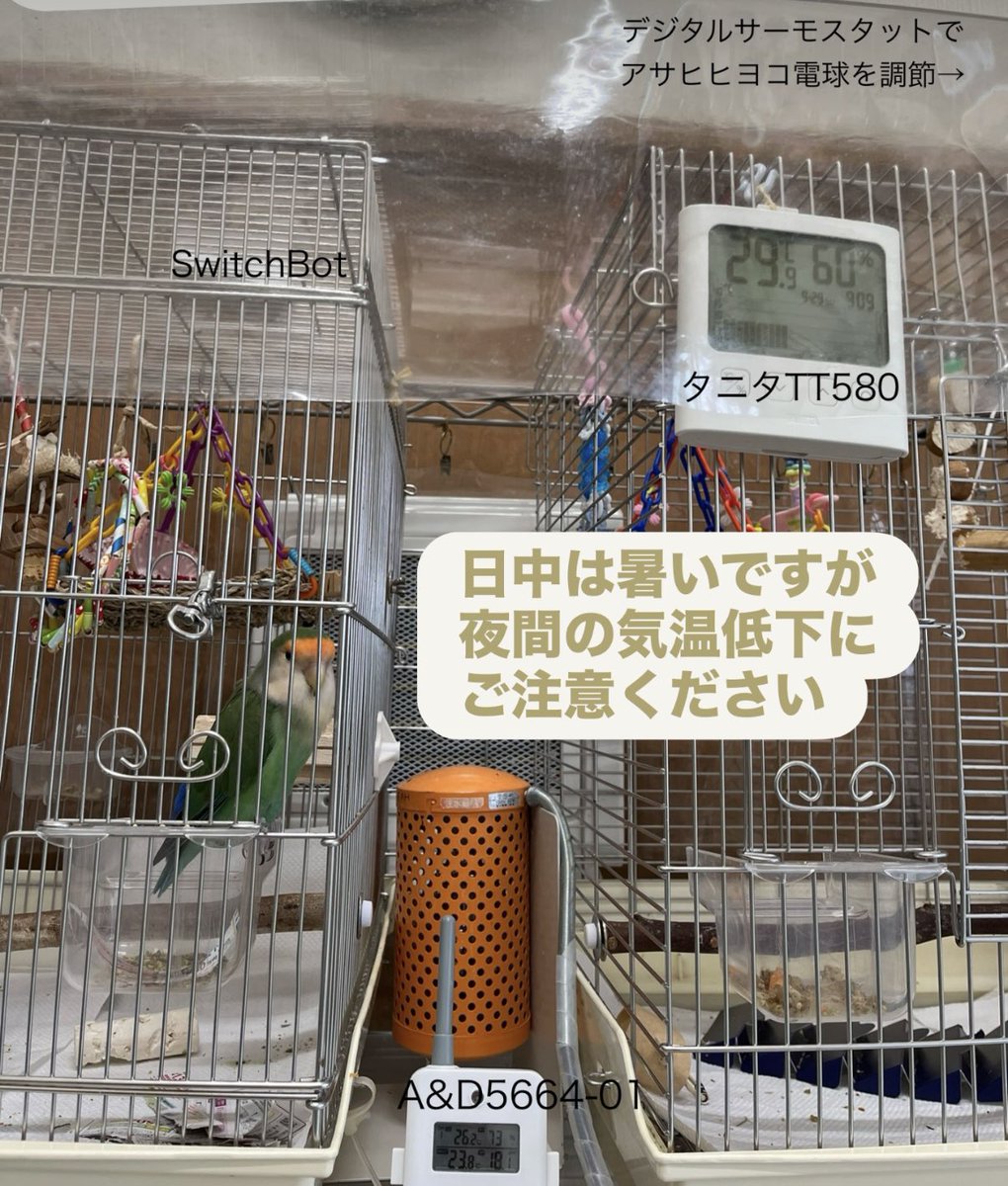 日中は暑いですが夜間の気温低下で体調を崩す小鳥が増えてきました。
特に今春以降生まれの子と　初めて老いが出てくる4~6歳の駆け込みが多いです。

小鳥を迎えたら保温器具、温度計、サーモスタットも必ず使っていきましょう。
サーモスタットが無い方が多いので　4機種の比較を再掲します⬇️

①