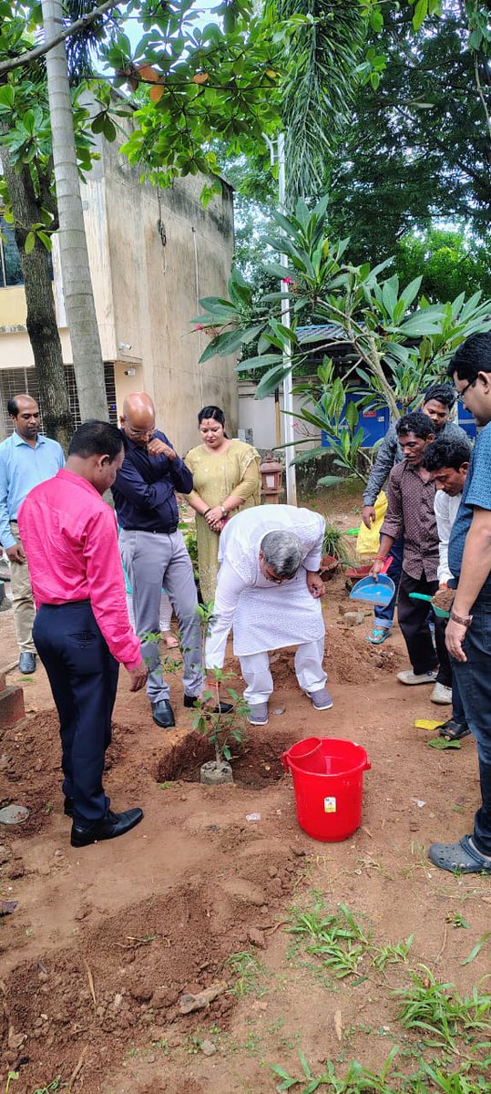 OSMCL1's tweet image. Observance of &quot;Ek Ped Maa Ke Naam&quot; Programme @ OSMCL on 17.09.2025