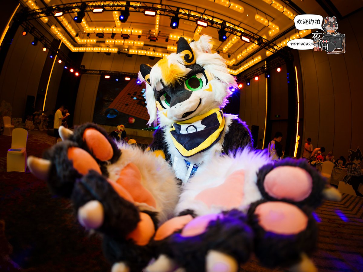 #FursuitEveryday #FursuitFriday #兽装 #furry
每日毛图 萬兽摄影回顾