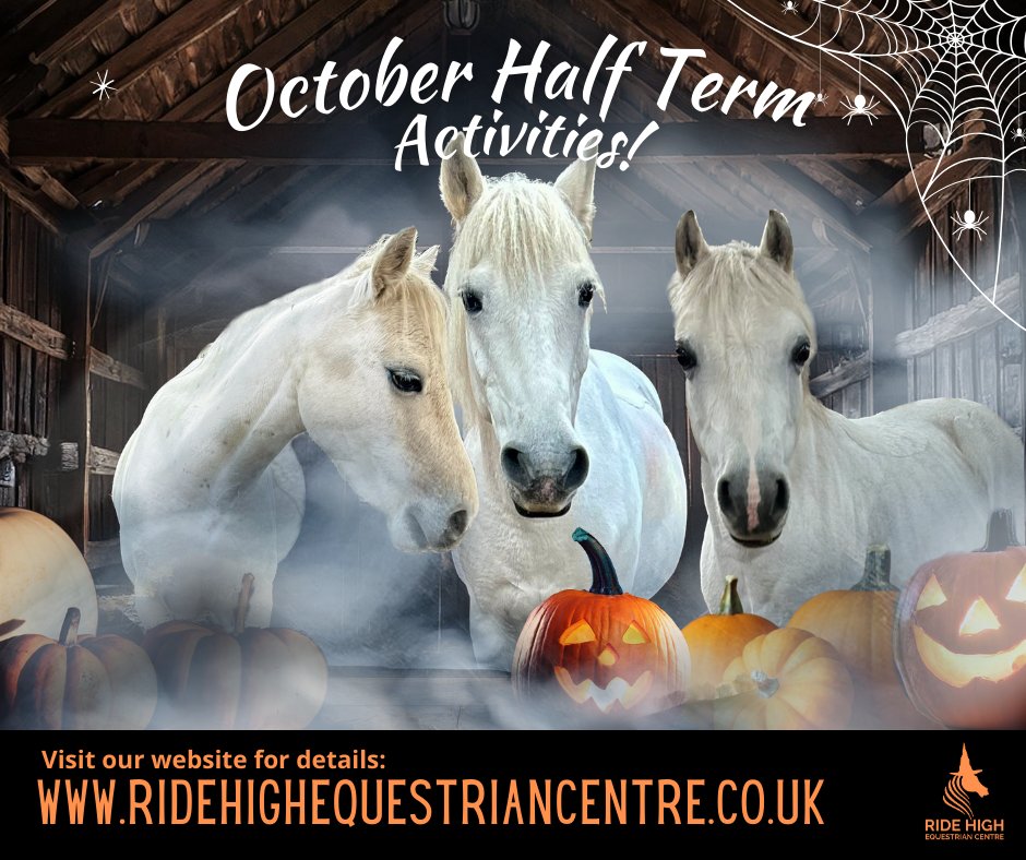 Ride High Equestrian Centre tweet media