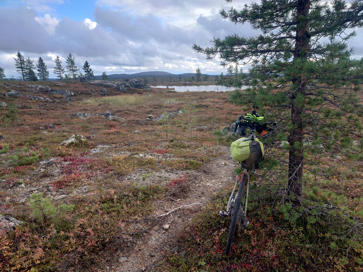 _3hat's tweet image. Huipulla ollaan, nyt äkkiä alas ennen kuin tulee kylmä. #ruska2025