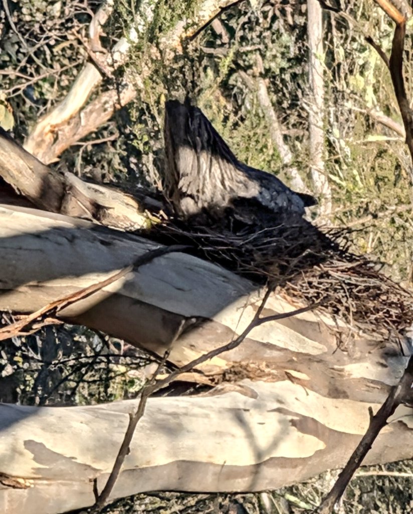 John Cooper tweet media