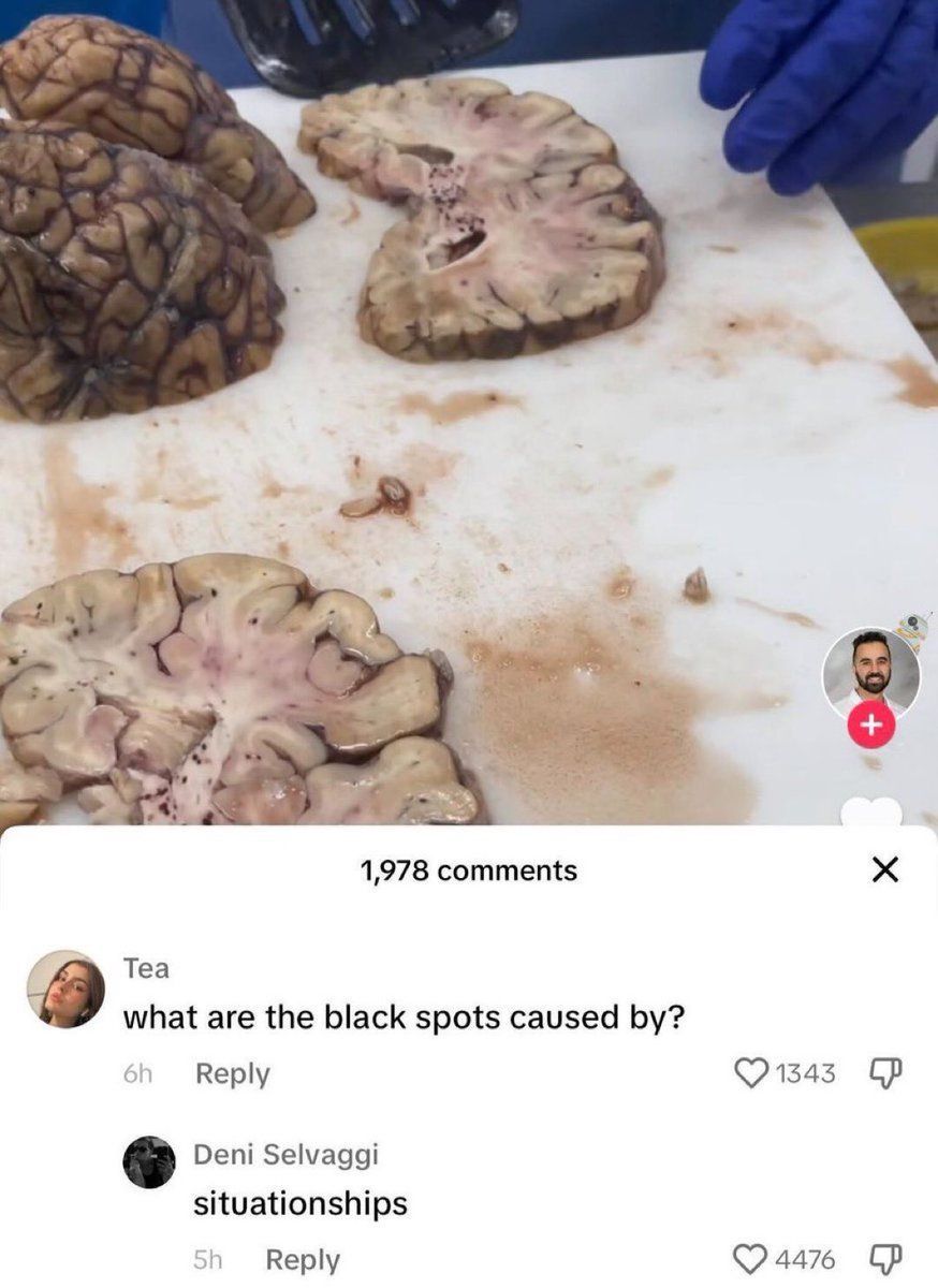 Images AI Could Never Recreate (@imagesaicouldnt) on Twitter photo 