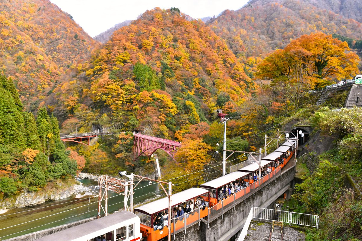 あと一ヶ月ちょっとで始まります
＃紅葉 ＃黒部峡谷 ＃トロッコ電車 ＃宇奈月温泉