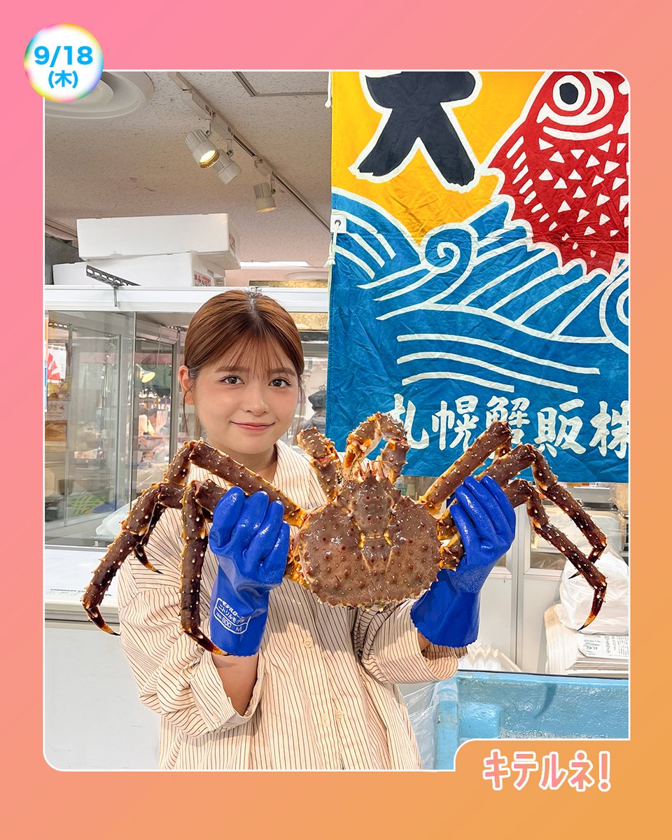 ☀️あしたのZIP!9/18(木)☁️ ⏰6時45分ごろ キテルネ！ 秋の大北海道