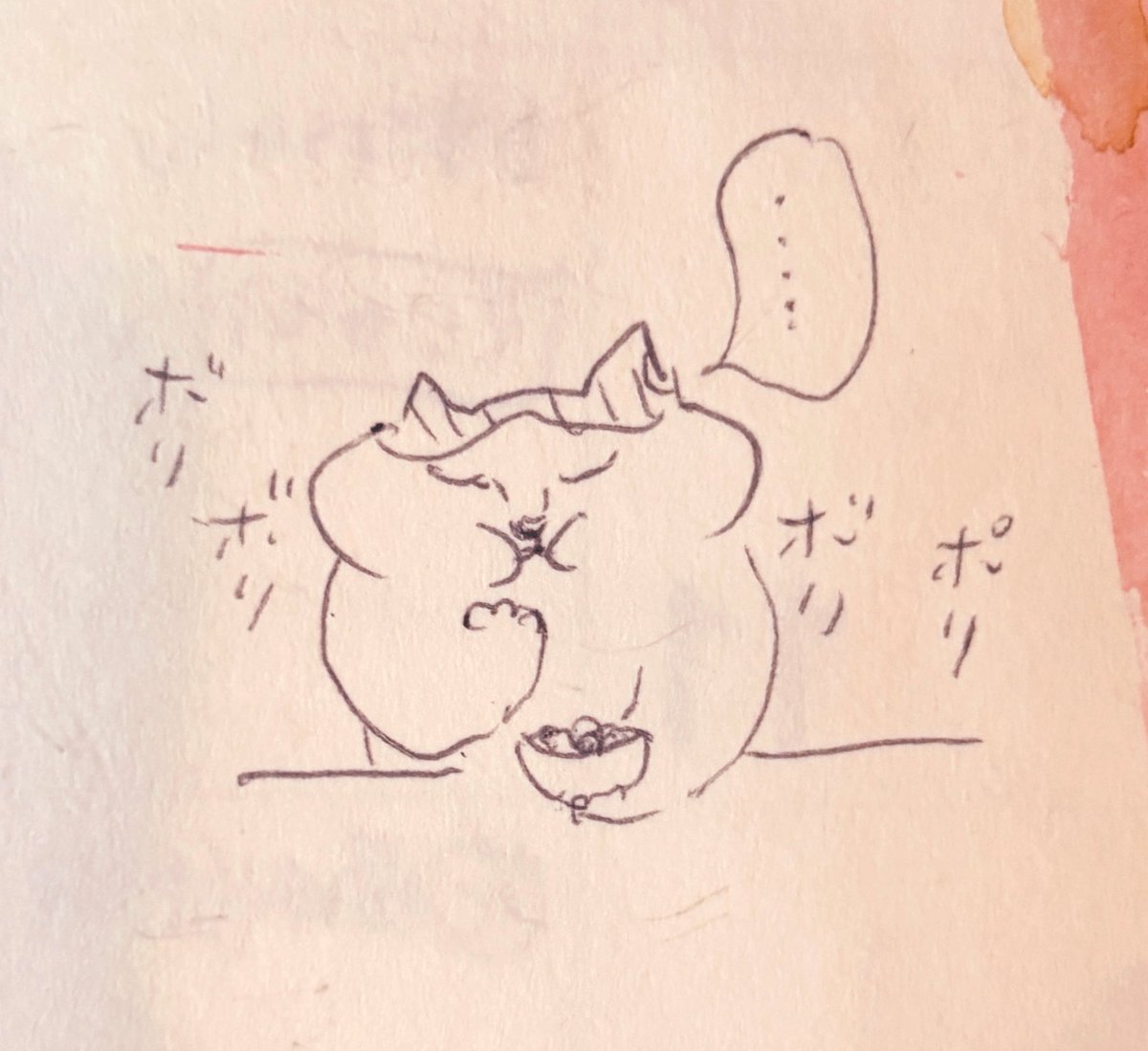 無心で齧っております… 