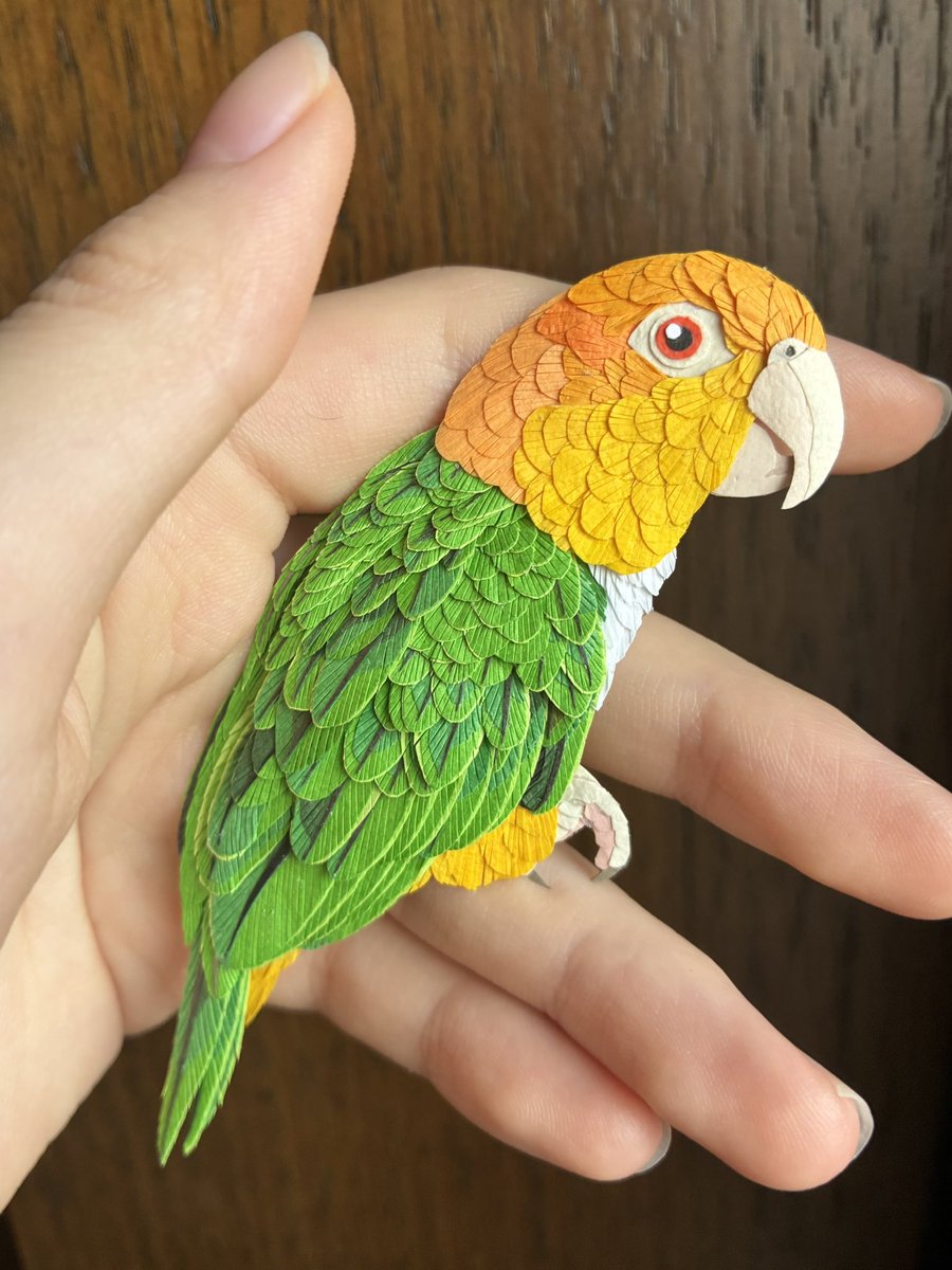 シロハラさん完成✨
特徴つかむの難しくて大変だった💦
#シロハラインコ　#ペーパークラフト　#ハンドメイド