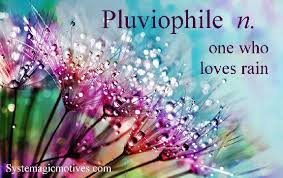 CallusPaul's tweet photo. clouds and rain #conspire
to spoil an autumn day ~ sparing
their pluviophile friend 

 #Vss365 https://t.co/Hth5oPwJXh