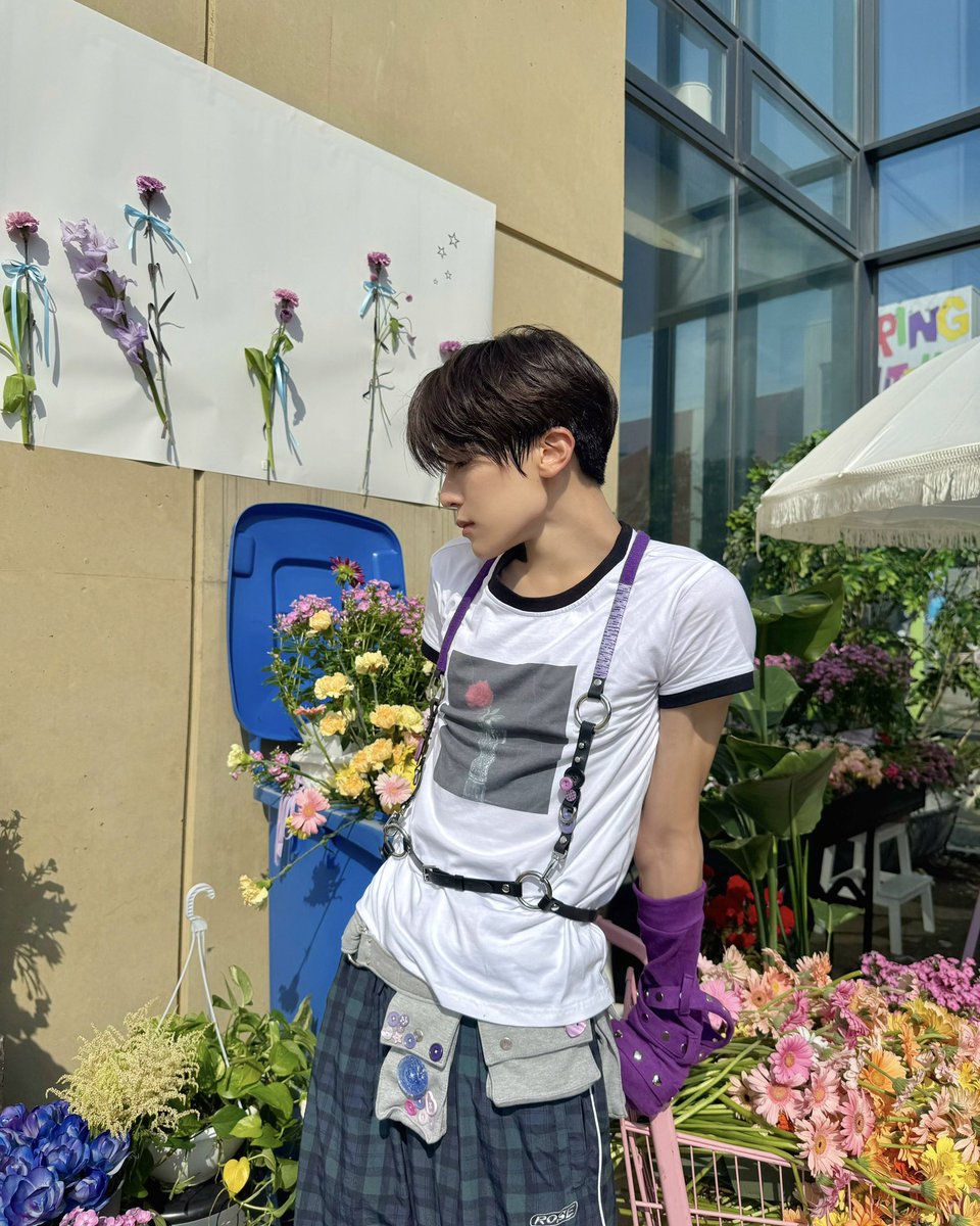 sion pics tweet media