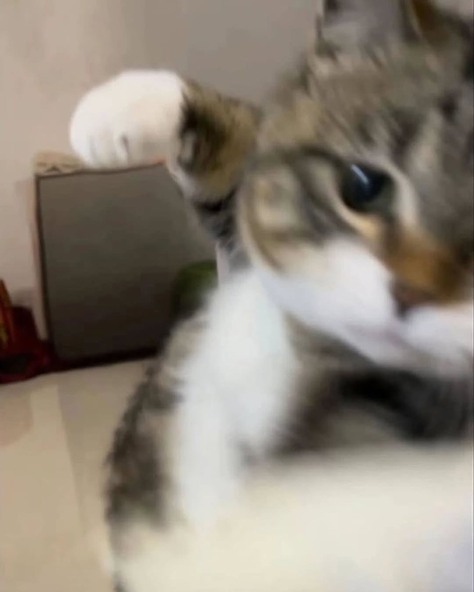 Just one random photocard for US tour???